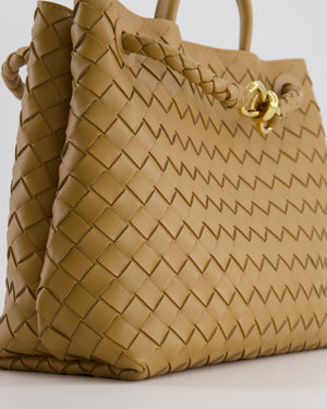 Bottega Veneta Medium Andiamo Bag in Praline Intrecciato Leather with Gold Hardware RRP £4,030