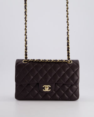 *RARE COLOUR* Chanel Dark Burgundy Small Classic Double Flap Bag in Caviar Leather with Champagne Gold Hardware