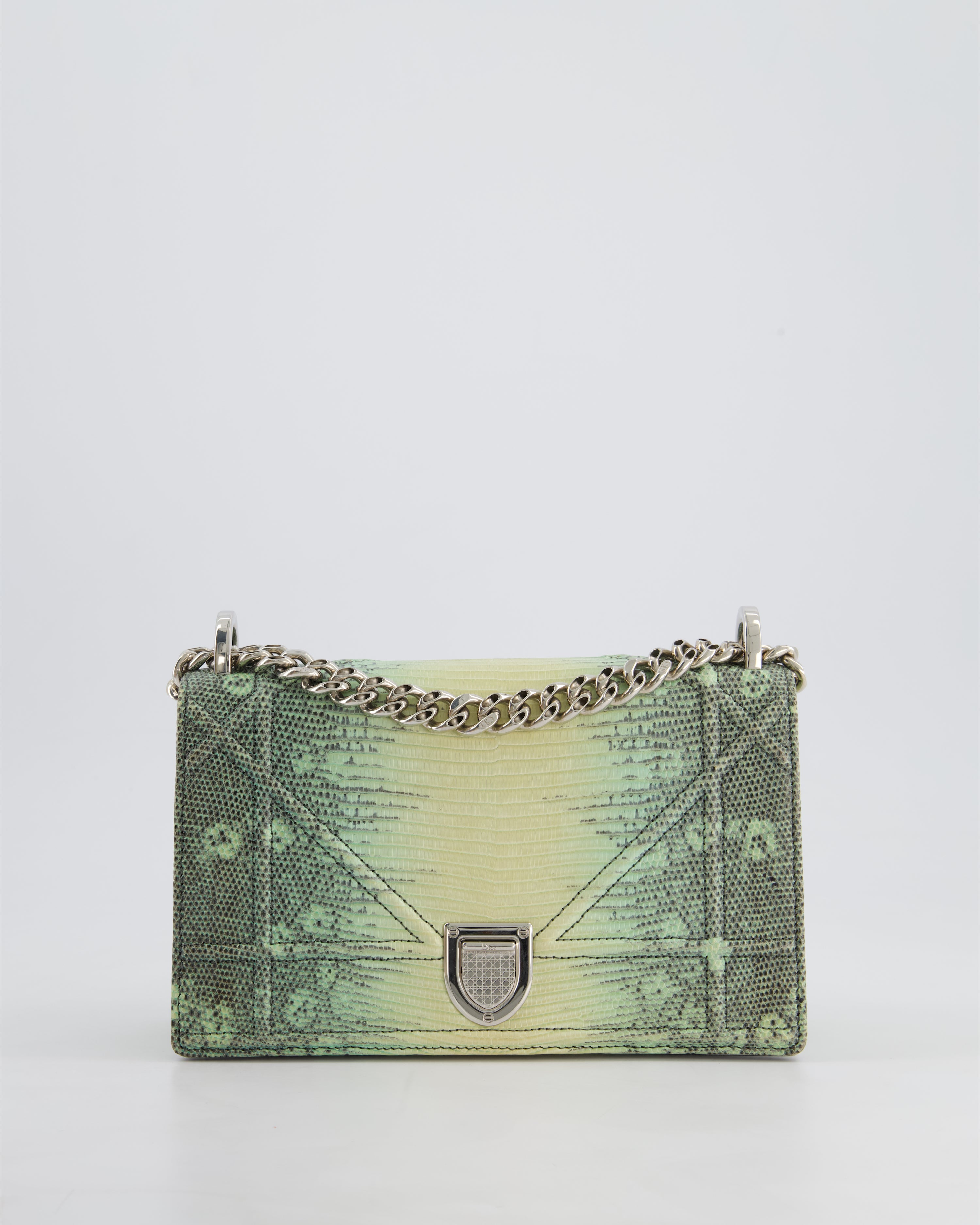 Christian Dior Small Diorama Flap Bag in Light Green Lizard With