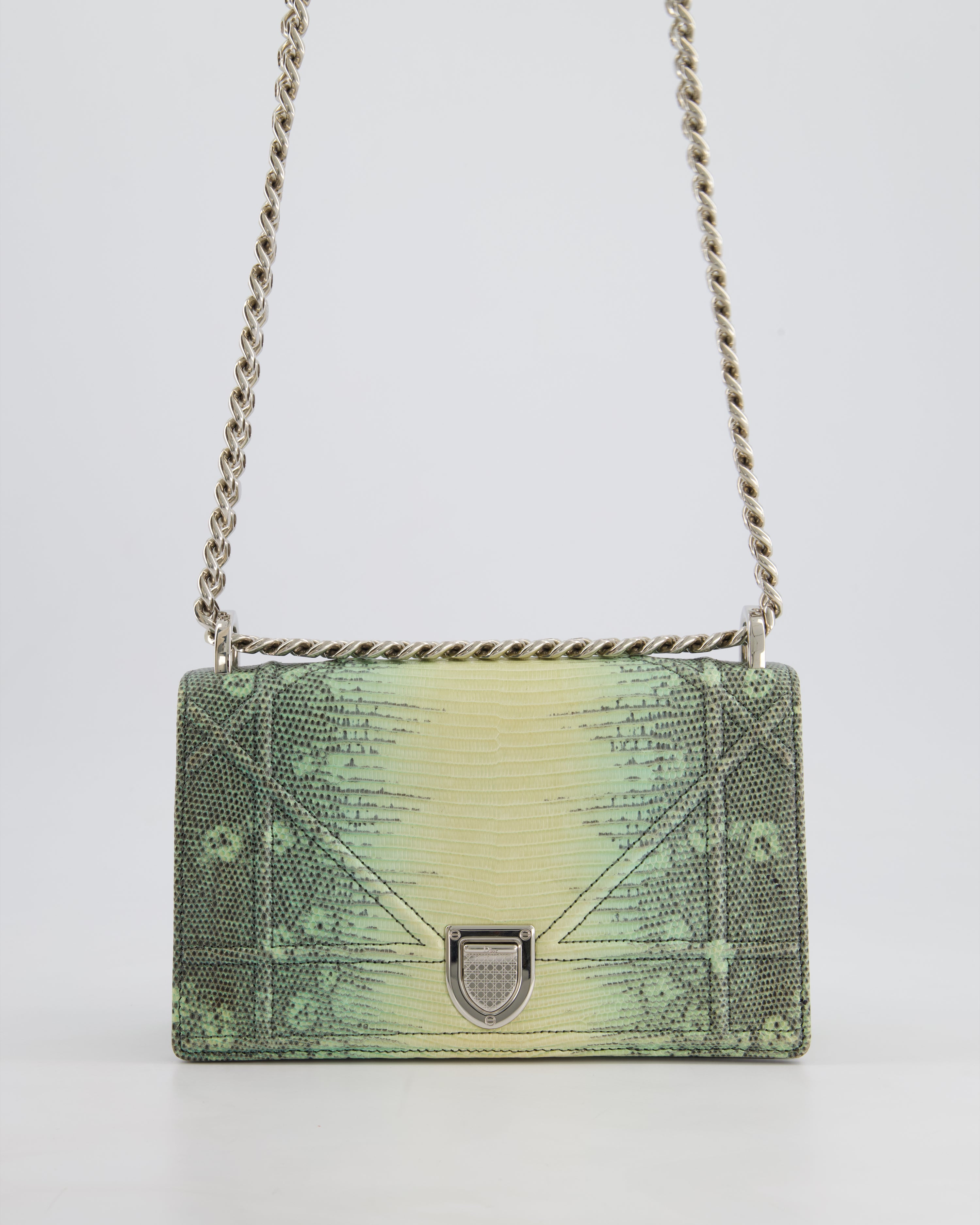 Christian Dior Small Diorama Flap Bag in Light Green Lizard With