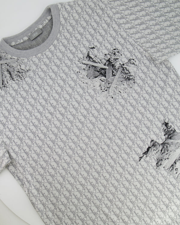 Christian Dior x Daniel Arsham Grey Dior Oblique Jacquard T-Shirt Size XL (UK 42)