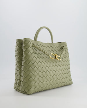 Bottega Veneta Medium Andiamo Bag in Travertine Intrecciato Leather with Gold Hardware RRP £4,030