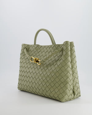 Bottega Veneta Medium Andiamo Bag in Travertine Intrecciato Leather with Gold Hardware RRP £4,030