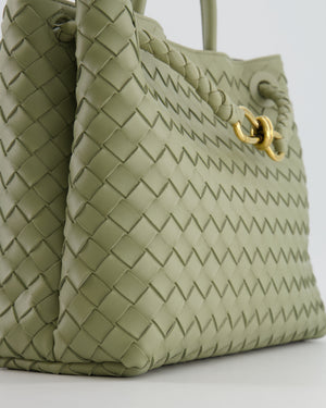 Bottega Veneta Medium Andiamo Bag in Travertine Intrecciato Leather with Gold Hardware RRP £4,030