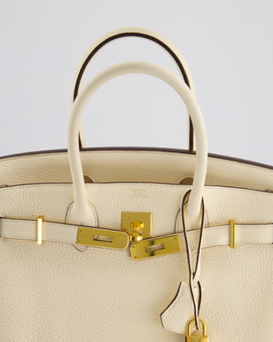 Hermès Birkin Retourne Bag 30cm in Nata Clemence Leather with Gold Hardware