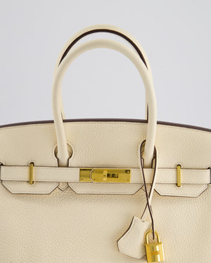 Hermès Birkin Retourne Bag 30cm in Nata Clemence Leather with Gold Hardware