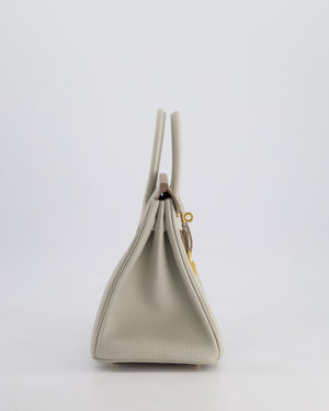 Hermès Birkin 25cm Retourne Bag in Gris Perle Togo Leather with Gold Hardware