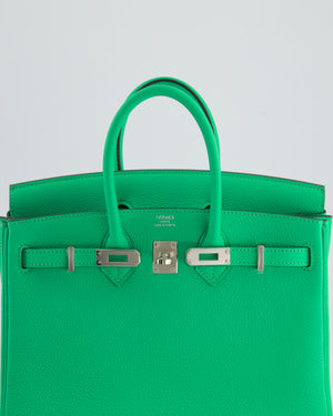 Hermès Birkin 25cm Retourne Bag in Vert Comics Togo Leather with Palladium Hardware