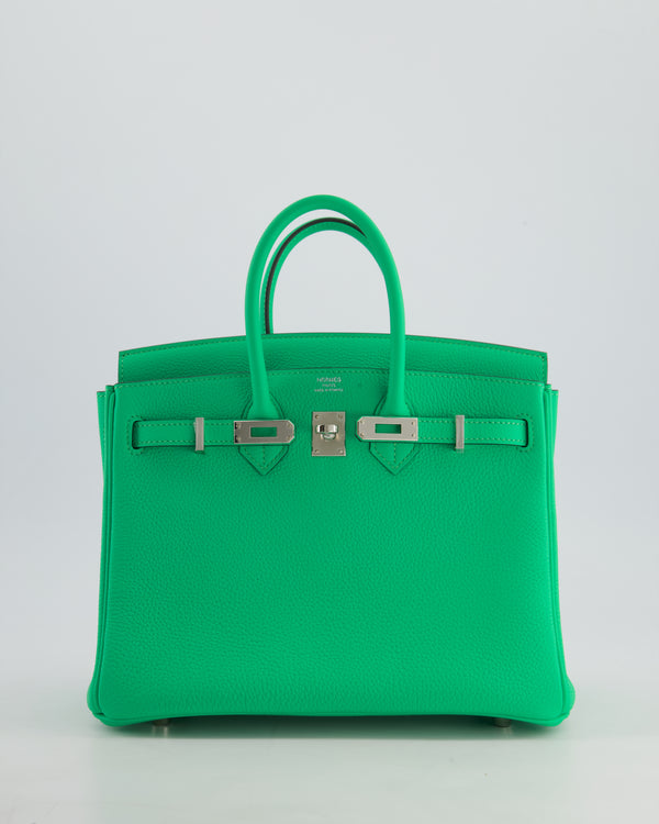 Hermès Birkin 25cm Retourne Bag in Vert Comics Togo Leather with Palladium Hardware