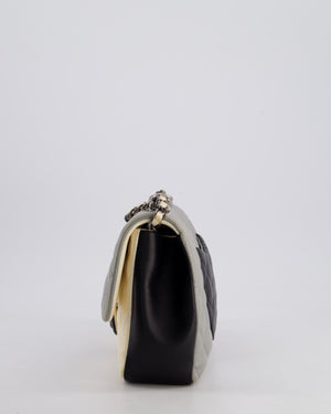 Chanel Beige Grey, White and Grey Timeless Medium Single Flap with Aged Ruthenium Hardware Bag
