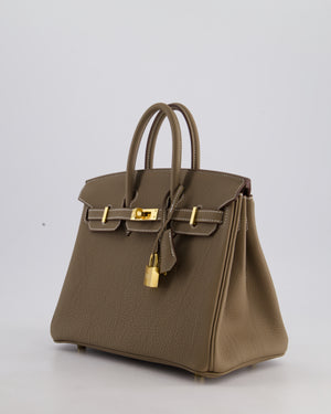 Hermès Birkin 25 Retourne Bag in Etoupe Togo Leather with Gold Hardware