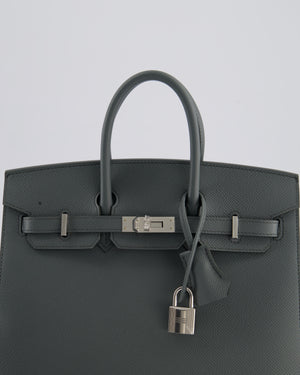Hermès Birkin 25cm Sellier Bag in Vert Amande Togo Leather with Palladium Hardware