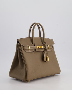 Hermès Birkin Retourne 25cm Bag in Etoupe Togo Leather with Gold Hardware