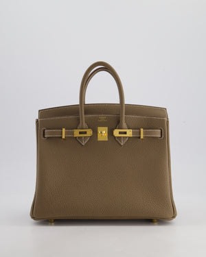 Hermès Birkin Retourne 25cm Bag in Etoupe Togo Leather with Gold Hardware