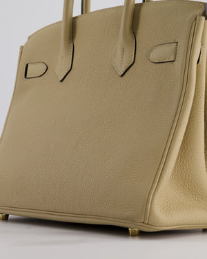 Hermès Birkin 30 Retourne Bag in Trench Togo Leather with Gold Hardware