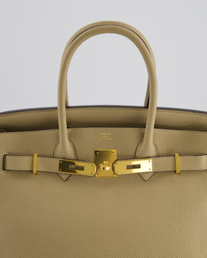Hermès Birkin 30 Retourne Bag in Trench Togo Leather with Gold Hardware