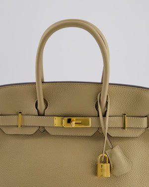 Hermès Birkin 30 Retourne Bag in Trench Togo Leather with Gold Hardware