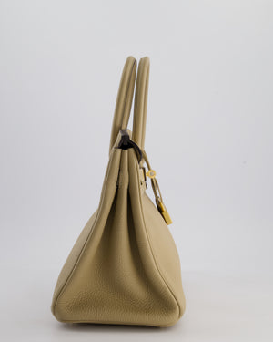 Hermès Birkin 30 Retourne Bag in Trench Togo Leather with Gold Hardware