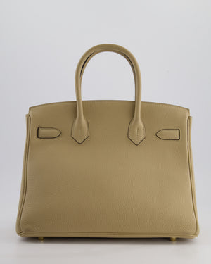 Hermès Birkin 30 Retourne Bag in Trench Togo Leather with Gold Hardware