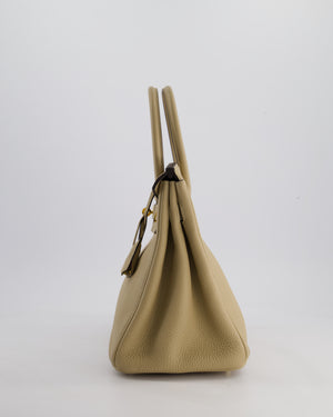 Hermès Birkin 30 Retourne Bag in Trench Togo Leather with Gold Hardware