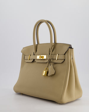 Hermès Birkin 30 Retourne Bag in Trench Togo Leather with Gold Hardware