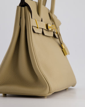 Hermès Birkin 30 Retourne Bag in Trench Togo Leather with Gold Hardware