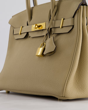 Hermès Birkin 30 Retourne Bag in Trench Togo Leather with Gold Hardware