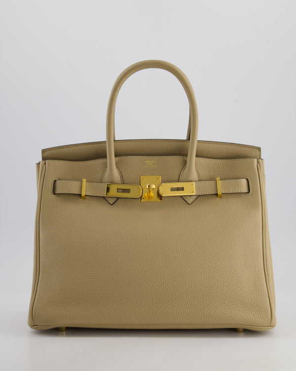 Hermès Birkin 30cm Retourne Bag in Trench Togo Leather with Gold Hardware