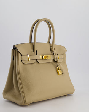 Hermès Birkin 30 Retourne Bag in Trench Togo Leather with Gold Hardware