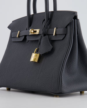 Hermès Birkin 25 Retourne Bag in Gris Misty Togo Leather with Permabrass Hardware