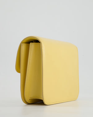 Céline Classic Box Small Bag in Pollen Calfskin with Gold Hardware