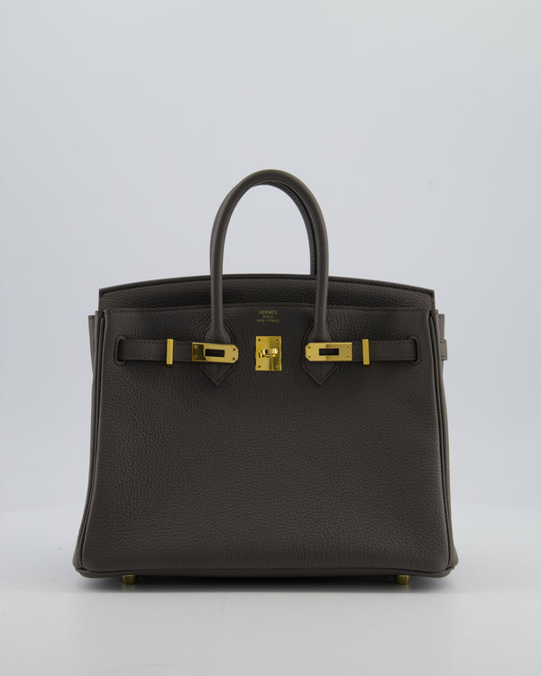 Hermès Birkin 25 Retourne Bag in Gris Etain Togo Leather with Gold Hardware