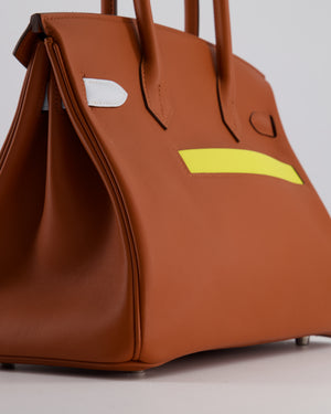 *HOT & RARE* Hermès Birkin 30 Retourne Colormatic Bag in Cuivre, Nata, Bleu Brume, Chai and Lime Swift Leather with Palladium Hardware