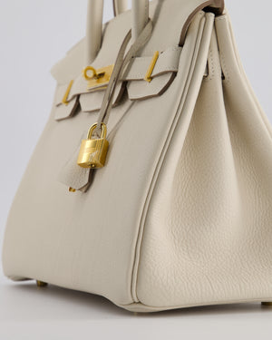 *RARE* Hermès Birkin 30 Retourne Bag in Craie Togo Leather with Gold Hardware