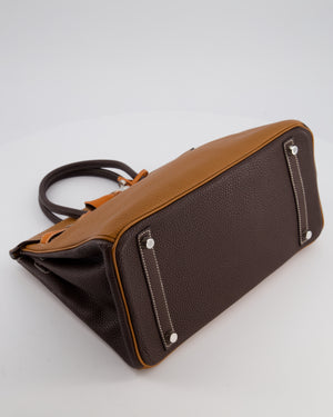 Hermès Birkin 30 Tricolour Retourne Bag in Gold, Chocolate and Orange Togo Leather with Palladium Hardware