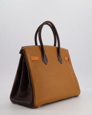 Hermès Birkin 30 Tricolour Retourne Bag in Gold, Chocolate and Orange Togo Leather with Palladium Hardware