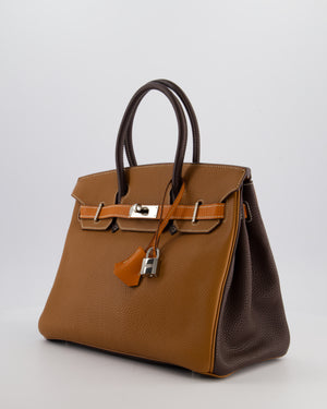 Hermès Birkin 30 Tricolour Retourne Bag in Gold, Chocolate and Orange Togo Leather with Palladium Hardware