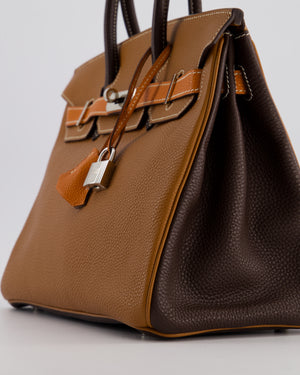 Hermès Birkin 30 Tricolour Retourne Bag in Gold, Chocolate and Orange Togo Leather with Palladium Hardware