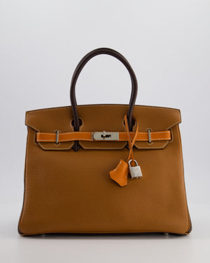 Hermès Birkin 30 Tricolour Retourne Bag in Gold, Chocolate and Orange Togo Leather with Palladium Hardware