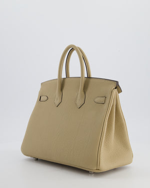 *RARE* Hermès Birkin 25 Retourne Bag in Trench Togo Leather with Palladium Hardware