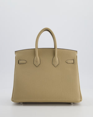 *RARE* Hermès Birkin 25 Retourne Bag in Trench Togo Leather with Palladium Hardware