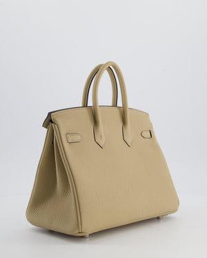 *RARE* Hermès Birkin 25 Retourne Bag in Trench Togo Leather with Palladium Hardware