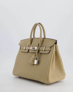 *RARE* Hermès Birkin 25 Retourne Bag in Trench Togo Leather with Palladium Hardware