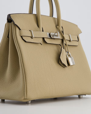 *RARE* Hermès Birkin 25 Retourne Bag in Trench Togo Leather with Palladium Hardware