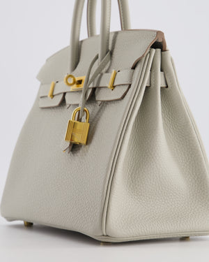 *RARE* Hermès Birkin 25 Retourne Bag in Gris Perle Togo Leather with Gold Hardware