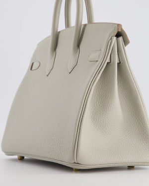 *RARE* Hermès Birkin 25 Retourne Bag in Gris Perle Togo Leather with Gold Hardware