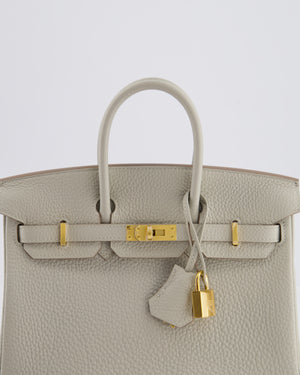 *RARE* Hermès Birkin 25 Retourne Bag in Gris Perle Togo Leather with Gold Hardware