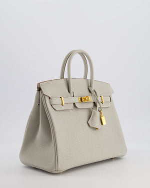 *RARE* Hermès Birkin 25 Retourne Bag in Gris Perle Togo Leather with Gold Hardware