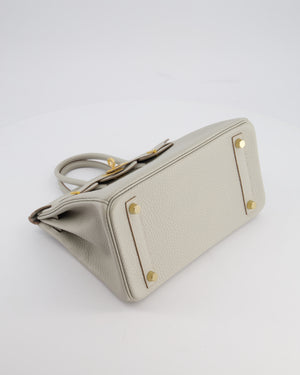 *RARE* Hermès Birkin 25 Retourne Bag in Gris Perle Togo Leather with Gold Hardware