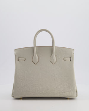 *RARE* Hermès Birkin 25 Retourne Bag in Gris Perle Togo Leather with Gold Hardware